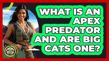 What Is An Apex Predator And Are Big Cats One? - The Wild Life Explorer