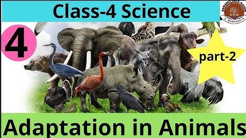 Class-4 | Science |Chapter-4 | Adaptation in Animals | part-2