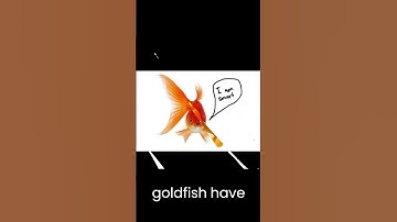 The goldfish memory myth
