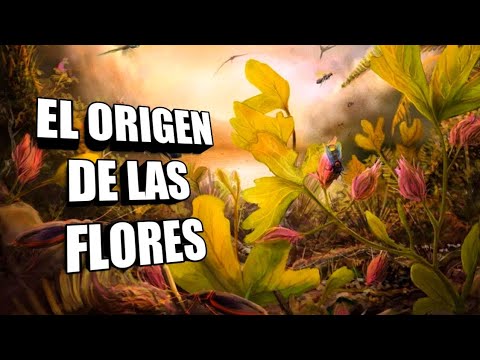 Video: Flores prehistóricas: ¿Cuáles son las flores más antiguas?