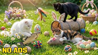 12 Hours Calming Music for Cats 🐾 Tranquil Dream Rhythm & Soft Easter Ambience for Sleep