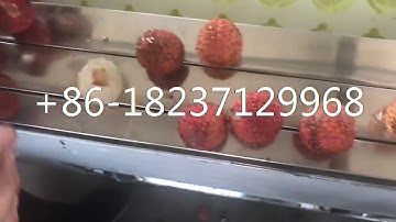 lychee cherry seed stone core extracting pitting machine plum apricot waxberry pitter machine