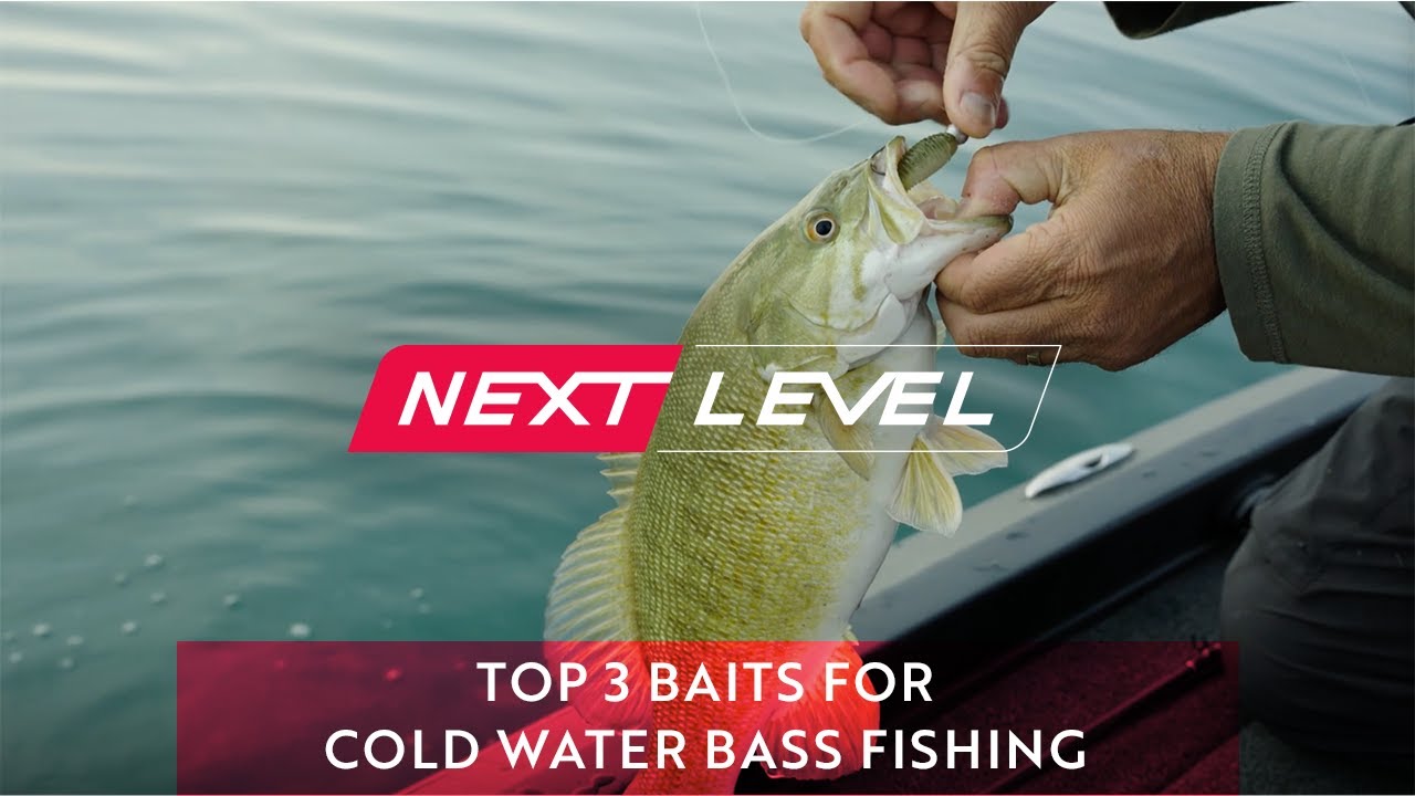 cold water bass lures