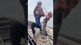 US fishing idea with big katla fish bait 1 #fishing #reels #viralvideo #trending