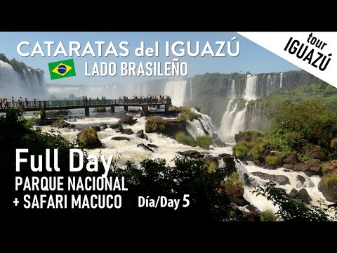 Día en CATARATAS DE IGUAZÚ BRASIL y Safari Macuco | ArielTourIguazú 5