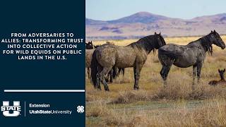 Adversaries to Allies: Transforming Trust into Collective Action for wild equids on Public Lands.