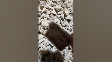 How to use the gold grinding machine correctly video#goldmining #goldenretriever #miningmachine