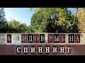 6 ВИДОВ РЫБ на Спиннинг. Это МОРМЫШИНГ Бро!