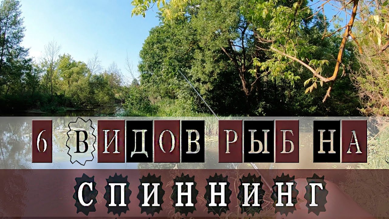 Рыболовный клуб ипуть клинцы