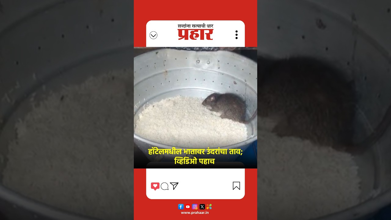 Viral Video |  हॉटेलमधील भातावर उंदरांचा ताव; व्हिडिओ पहाच | #viralvideo #prahaarnewsline