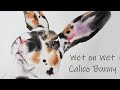How to Paint  A Loose Wet in Wet Calico Bunny for Easter - Watercolor 4 Beginners