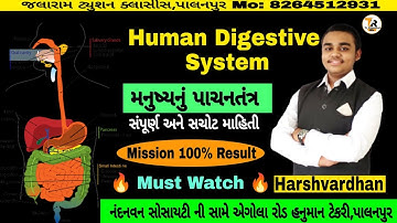 મનુષ્યનું પાચનતંત્ર|Human Digestive System|મનુષ્યોમાં પોષણ|Nutrition in human beings|Pachan tantra|