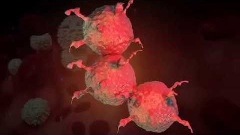 nipah virus lab video