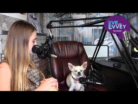 funny-animal-video,-interview-with-a-talking-dog