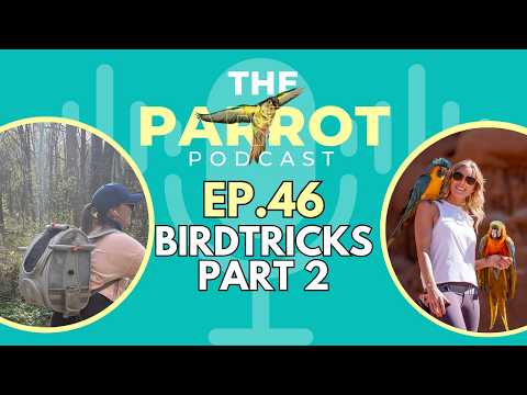 Taking Your Parrot Outdoors Safely: Free Flight, GPS, Bird Carriers & Wing Clipping |TheParrotPod 46