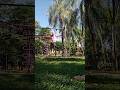 calistenia teste YouTube