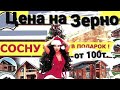 Новогодние скидки на зерн📉! От 100т. Сосна🌲 в подарок