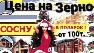 Новогодние скидки на зерн📉! От 100т. Сосна🌲 в подарок