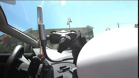 My Setup / California Legal / Accord 18 / Dragonpilot 0.7.7.2 / An Openpilot Fork