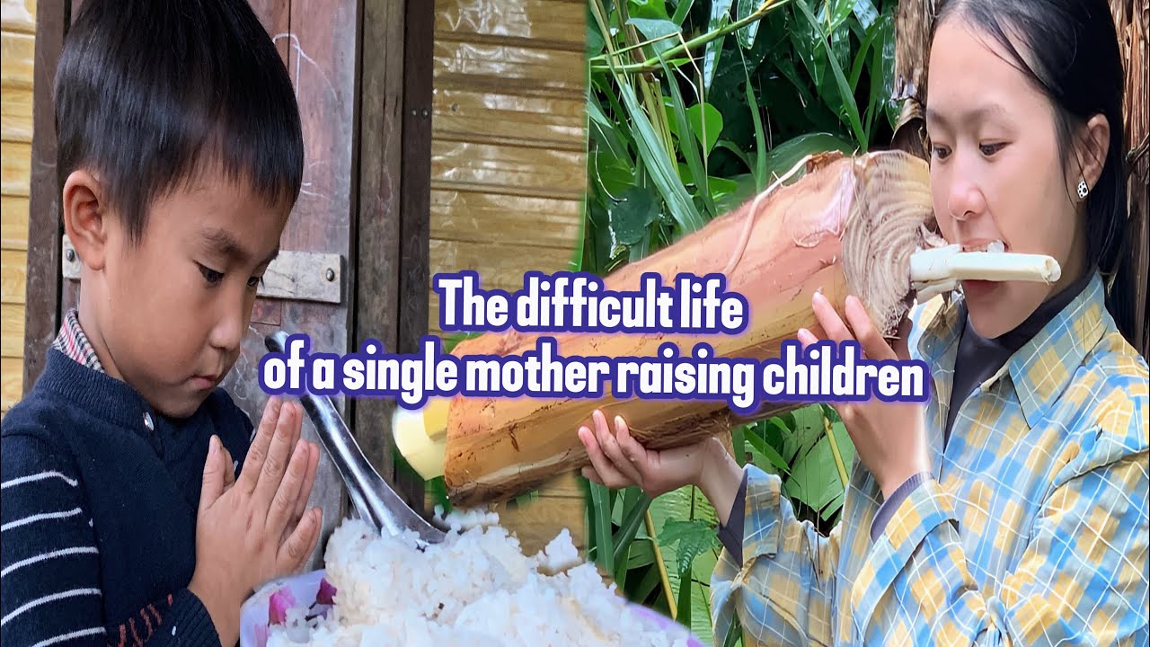 So hungry, the single mother had to take her child to beg for food to ...