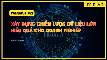Xây dựng chiến lược dữ liệu lớn hiệu quả cho doanh nghiệp - Mì AI