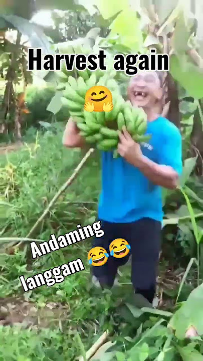 andaming langgam π
π
 #youtube #girlieurmenita #trendingshorts