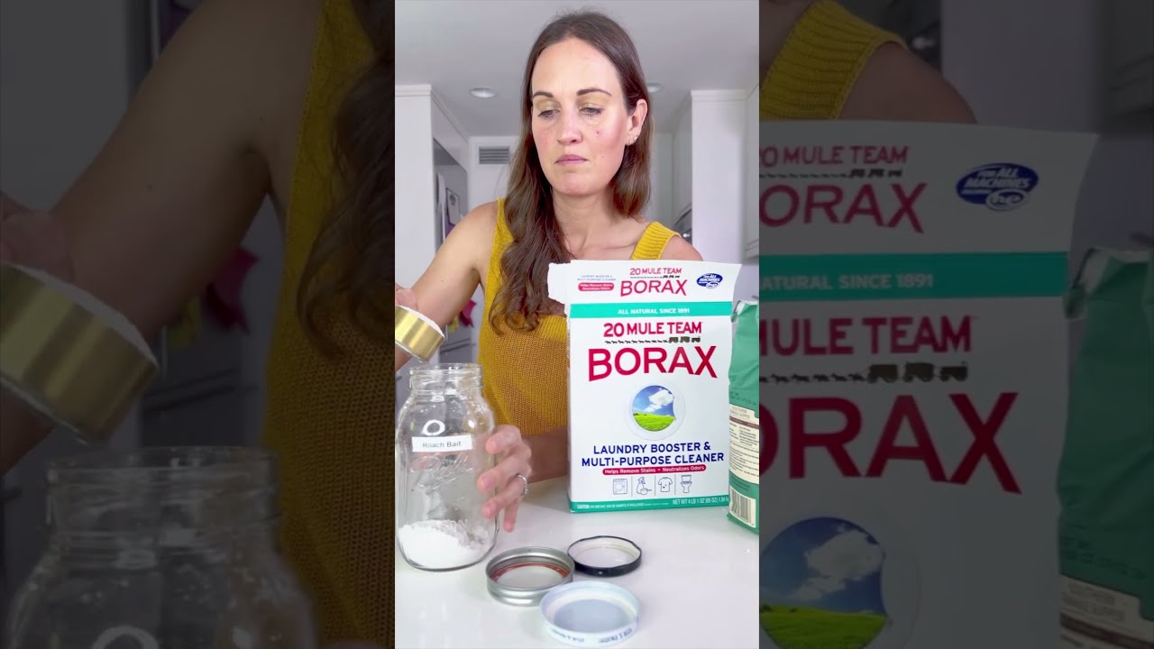 DIY Non Toxic Roach Bait