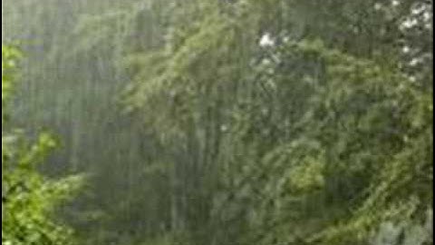 barsaat ke mausam main with lyrics