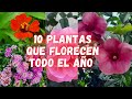 10 PLANTAS que FLORECEN TODO EL AÑO y NO Necesitan de Muchos CUIDADOS | plantas con muchas flores |