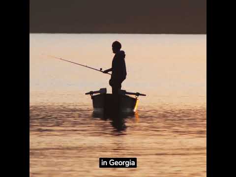 Video: Top 10 Bass Fishing Lakes in Georgia