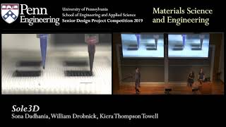 Senior Design 2019: Sole3D
