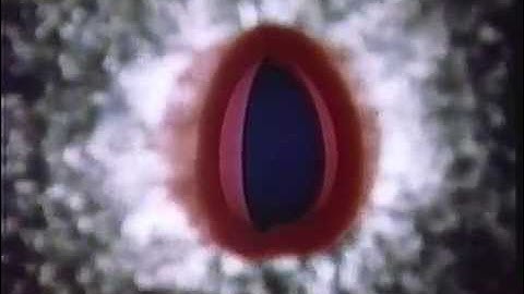 Inertial Confinement Fusion