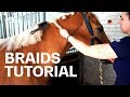 How to braid your horse's mane? Tutorial with Olivia Towers | Guest Vlog