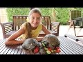 Черепаха Челленж - подружка Полен и животные для детей
