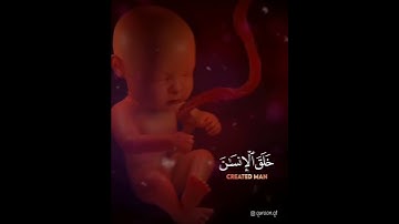 تلاوه خاشعه من سورة الرحمن 🍀|| بدر النفيس Bader Alnufais