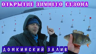 Зимняя рыбалка || Открытие сезон || Домкинский залив || Ловля на флажки