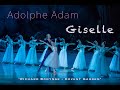 Capture de la vidéo Richard Bonynge - Covent Garden/Adolphe Adam - Giselle