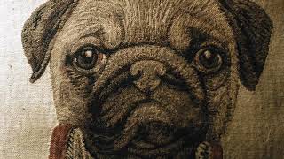 Philosophical Pug - A Meta fiction Short Film with a pug.