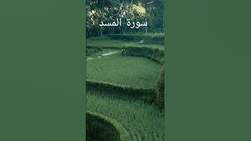 سورة المسد . هيثم الدخين