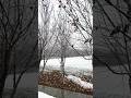 Beautiful weather snow fall in Yiwu China ##