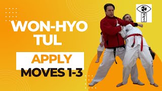 Revolutionize Your Taekwon-do Practice with Won Hyo Tul Moves | OSPerspectives.co.uk screenshot 4