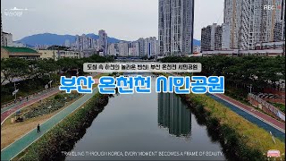 온천천시민공원 영상