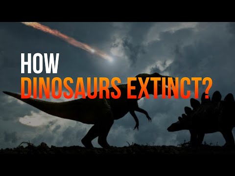 How Dinosaurs Went Extinct ? | Detailed Explanation | History | Era Echoes