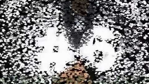 SPY BLUETOOTH EARPIECE, 09650321315 , www.bluetoothearpiece.in