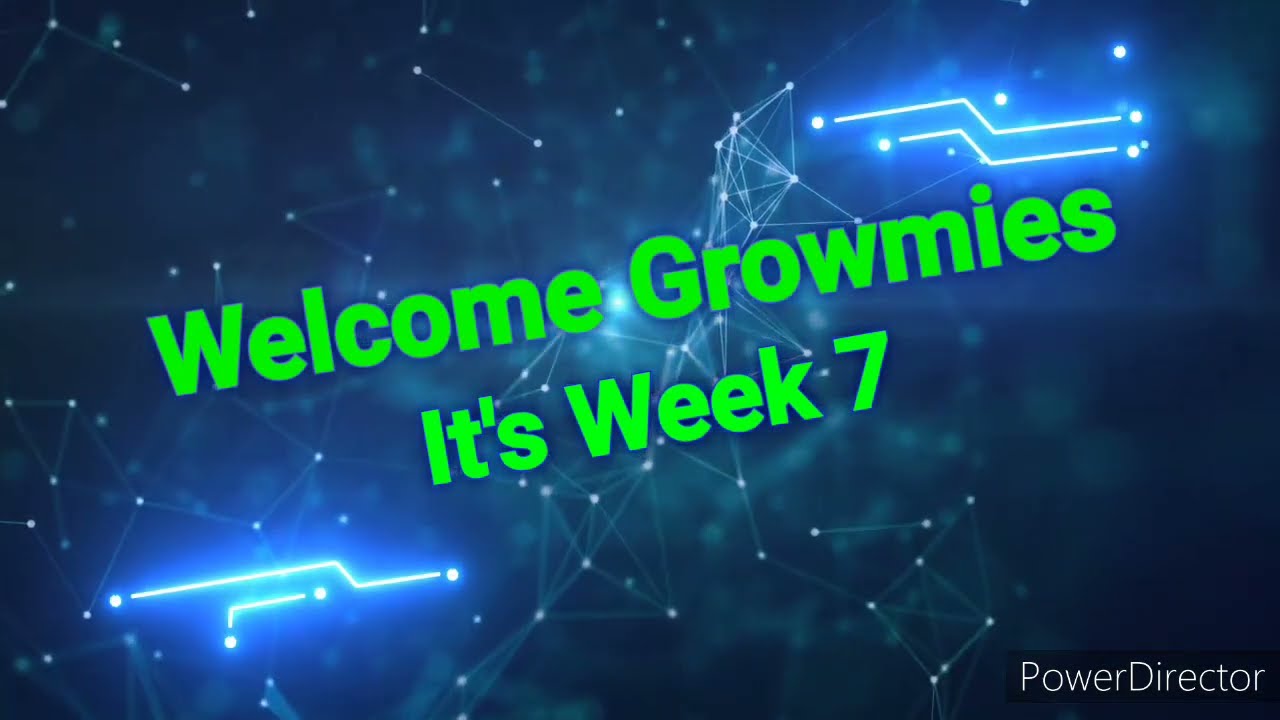 THC Filled Budz Covered In Trichomes