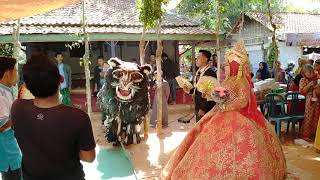 Timang Manten Tradisi Adat Madura-Proppo Pamekasan Jambringin Romli & Fitriyah