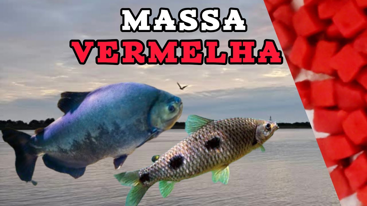 A melhor massa vermelha para Piau, Piapara e Pacus. PESCARIA.
