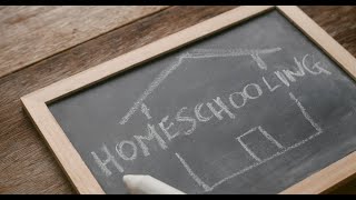 Часть2. Homeschooling/Хомскулинг или домашнее обучение в Америке: программа, учебники, стоимость