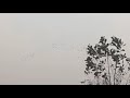পড়ন্ত বিকেলে পাখির কলরব। (এক ঝাক পাখি)