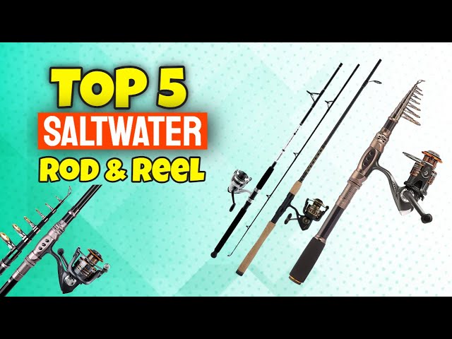 Best Fishing Rod and Reel for Saltwater  Saltwater Fishing Pole and Reel  Combo 2022 